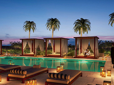 Image of Candace Aster