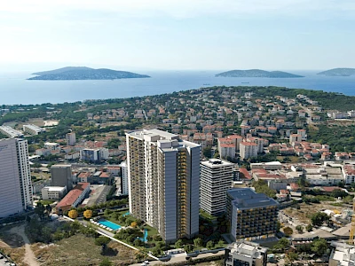 Image of Almis La Mer Dragos