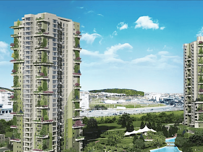 Image of Sinpaş Gökorman