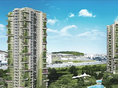 Image of Sinpaş Gökorman