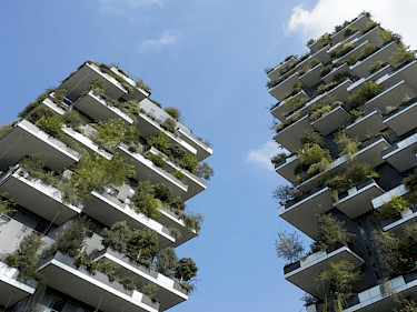 Image of Sinpaş Gökorman