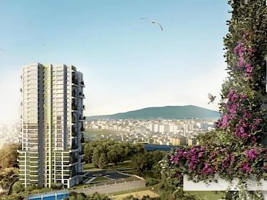 Image of Sinpaş Gökorman