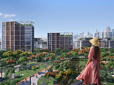 Image of Fern Central Park