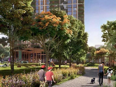 Image of Fern Central Park