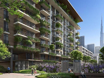 Image of Central Park Laurel