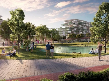 Image of Central Park Myrtle