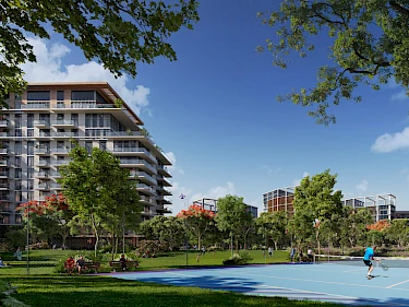 Image of Central Park Myrtle