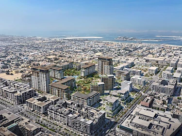 Image of Central Park Myrtle