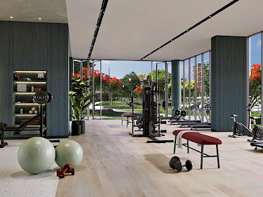 Image of Central Park Myrtle