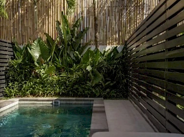 Image of Sunny Batu Bolong