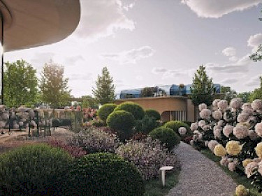 Image of KING & SONS