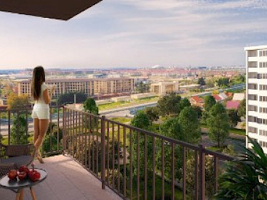 Image of Фрукты