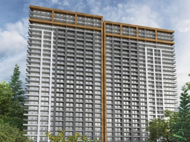 Image of Archi Guramishvili