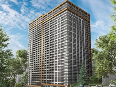 Image of Archi Guramishvili