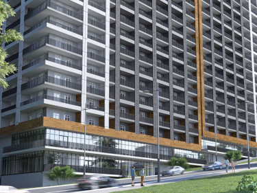 Image of Archi Guramishvili