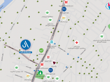 Image of Archi Guramishvili