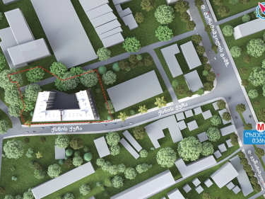 Image of Archi Guramishvili