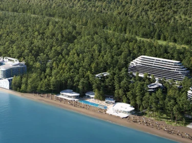 Image of VR Shekvetili Forest-Beach