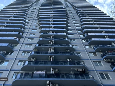 Image of Horizon Elegance