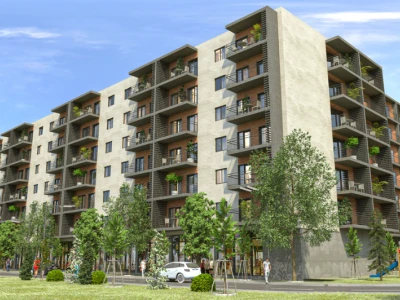 Image of NCD Dighomi