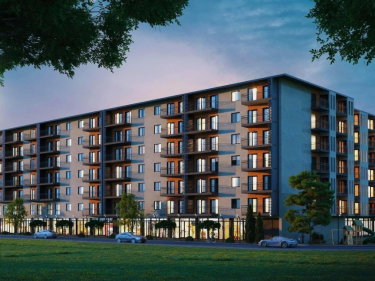 Image of NCD Dighomi