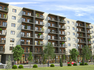 Image of NCD Dighomi