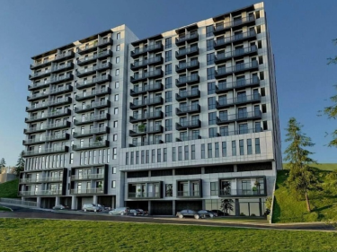 Image of NCD Vashlijvari