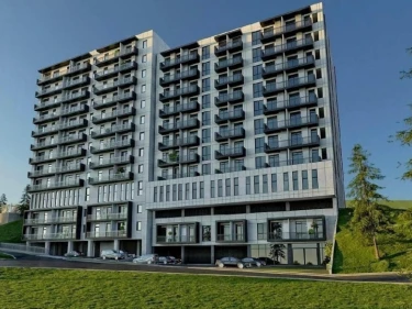 Image of NCD Vashlijvari