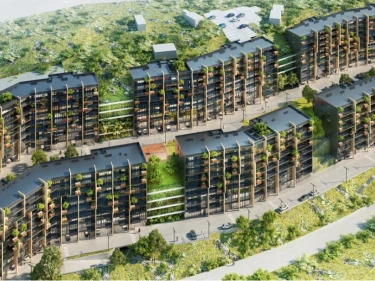 Image of Filigreen 2