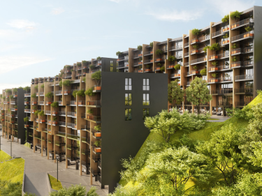 Image of Filigreen 2