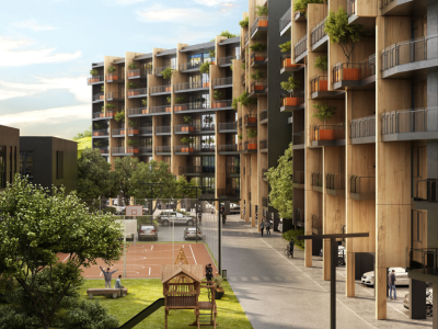 Image of Filigreen 2