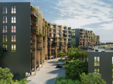 Image of Filigreen 2