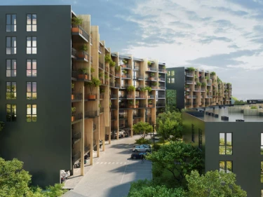 Image of Filigreen 2