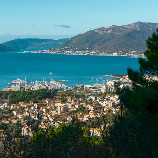 Banner advertisement