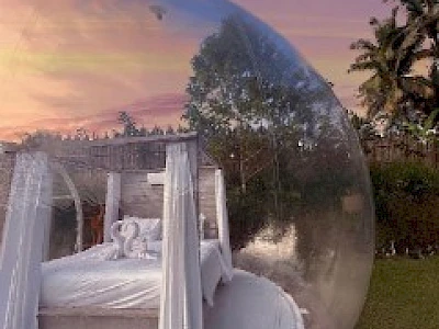 Image of Bubble Hotels