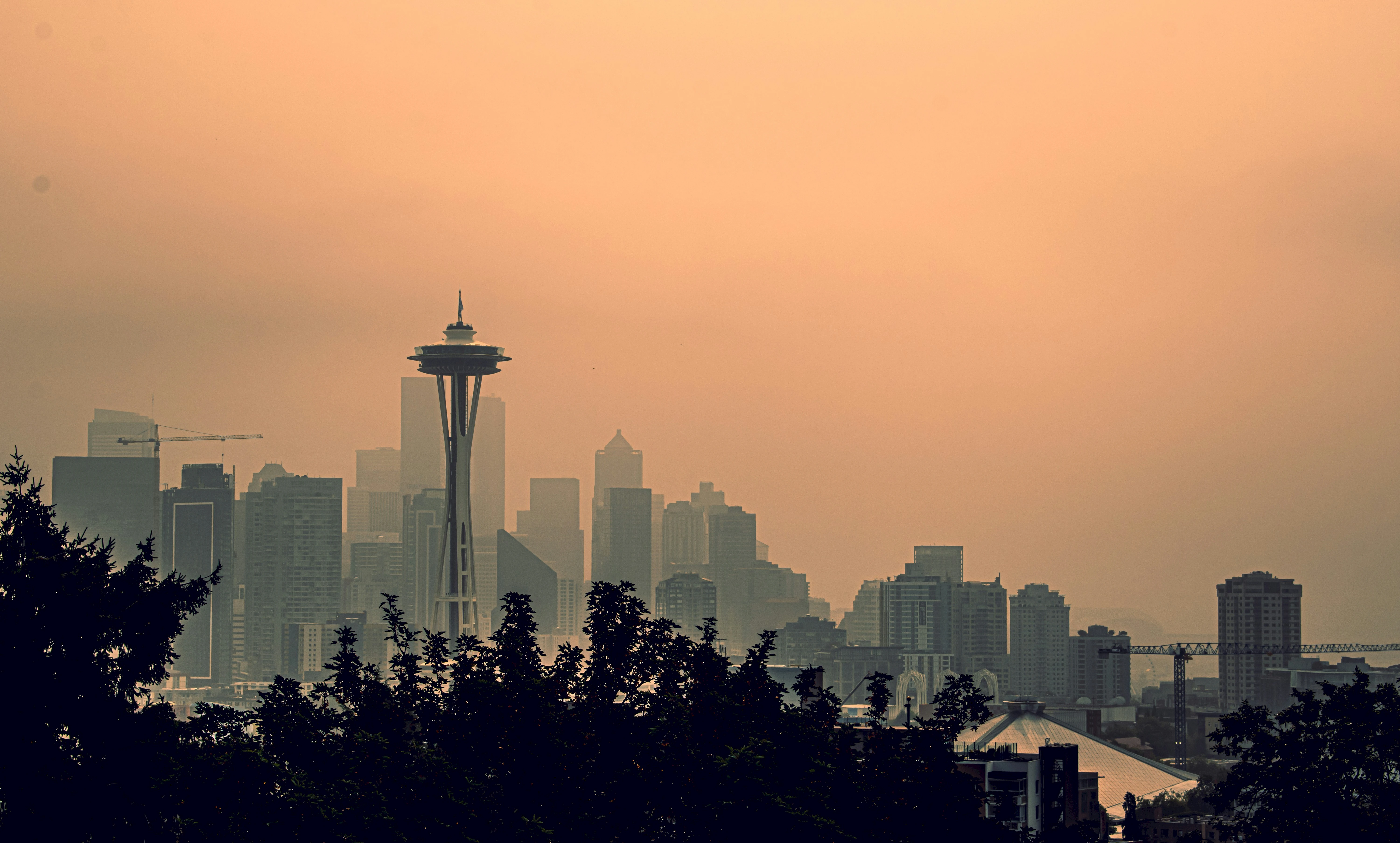 Отзывы о застройщиках недвижимости в штате Вашингтон, США