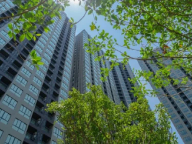 Image of Elio Del Nest